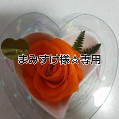 まみすけ☆様専用のサムネイル