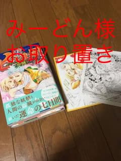 ☆みーどん様 お取り置き☆七つの大罪セブンデイズ～盗賊と聖少女～のサムネイル