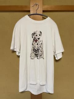 saucy dog サウシードッグ　tシャツ わんこ　ダルメシアンのサムネイル