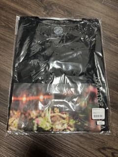 櫻坂46 流れ弾 ロングスリーブ ロンtのサムネイル