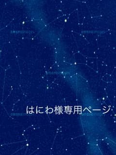 はにわ様専用ページのサムネイル
