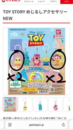 めじるしアクセサリーのサムネイル