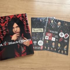 Acid Black Cherry 写真集BLACK LIST ステッカー - メルカリ