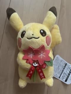 For You! ピカチュウとグラシデアのはな