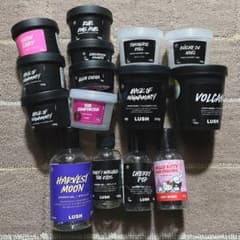 LUSH 使用済み 空容器 15個 - メルカリ