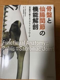 骨盤と仙腸関節の機能解剖 骨盤帯を整えるリアラインアプローチのサムネイル