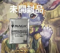 MTG 藤ちょこ 放浪皇 四季の旅路 完結記念キャンペーン プロテクター