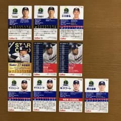 カルビー プロ野球チップス 東京ヤクルトスワローズ 10枚セットのサムネイル