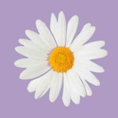 htmさま専用ページのサムネイル