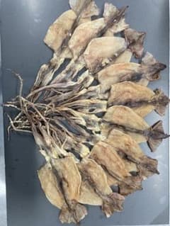 国内産干しスルメイカ　10枚　300g〜350g 干物　ジャーキー　あたりめのサムネイル