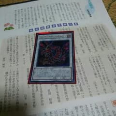 アルティマヤツィオルキンのサムネイル