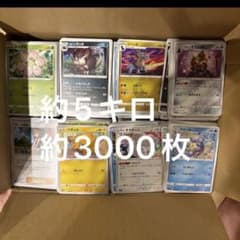ポケモンカード 約5キロ 約3000枚 ノーマル 大量 引退品 まとめ売り