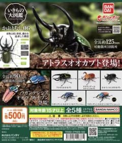 いきもの大図鑑 かぶとむし06のサムネイル