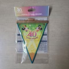 Disney 40周年グッズ　ドリームガーランドのサムネイル
