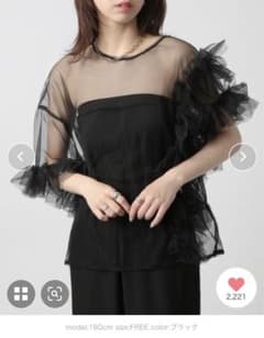 【MAISON BREEZE reveur】アシンメトリー シアーチュールレースのサムネイル