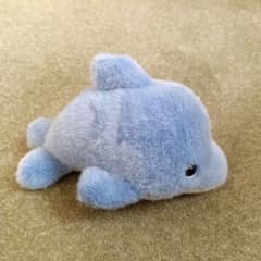青いイルカのぬいぐるみのサムネイル