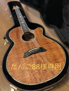 タカミネDMP100K Nのサムネイル