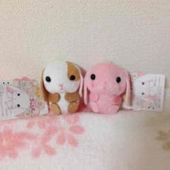 りょくちゃん様 専用♡のサムネイル