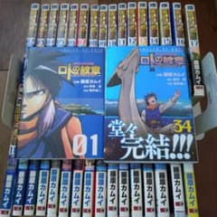 ロトの紋章　紋章を継ぐ者たちへ　全巻完結セット　藤原カムイ　全巻初版　帯付きありのサムネイル