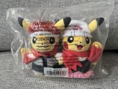 ポケモンセンター シンオウ地方 ペア ピカチュウ ぬいぐるみ 25周年