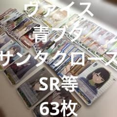 SR 있음 / 바이스 / 블루 돼지 / 산타 클로스 / 정리 / RR / R / U / C / CR