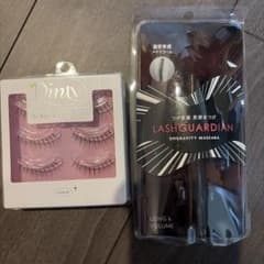 Dinty False Eyelashes & LASH GUARDIAN Mascara