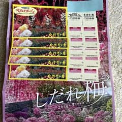 なばなの里　ベゴニアガーデン・河津桜 招待券 5枚のサムネイル