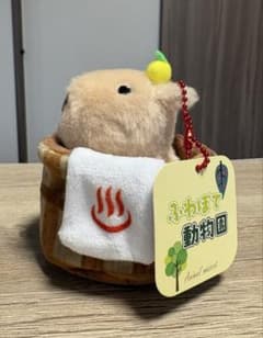 푹신푹신 동물원 카피바라 온천 봉제인형 마스코트