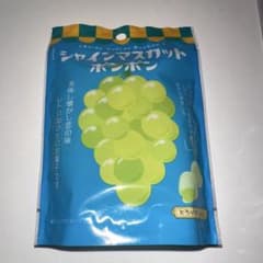 新品未開封 シャインマスカットボンボンのサムネイル
