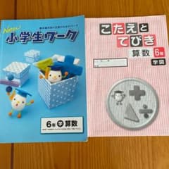 小学生ワーク　6年　算数　答え付きのサムネイル