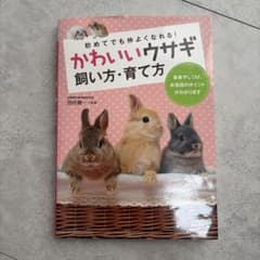 かわいいウサギ 飼い方・育て方 田向健一のサムネイル