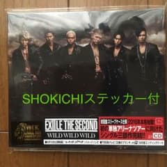 WILD WILD WILD ♪EXILE THE SECONDのサムネイル