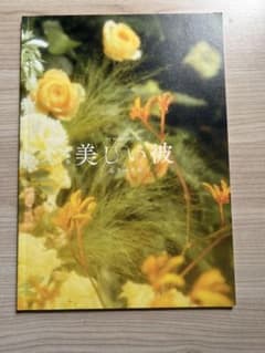 美しい彼　映画　雑誌のサムネイル