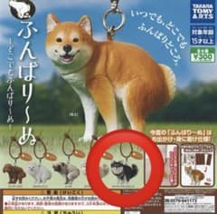ふんばり〜ぬ ガチャ マスコット チワワ(ブラックタン)のサムネイル