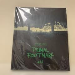 ONE OK ROCK PRIMAL FOOTMARK #14 - メルカリ