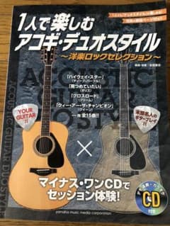 1人で楽しむアコギ・デュオスタイルのサムネイル