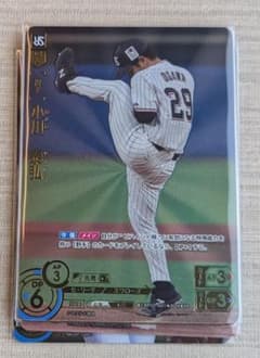 ドリームオーダー　SP小川泰弘のサムネイル