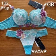 サルート 13 GB P-upブラ&amp;ソング サルート（SALUTE） ワコール 13グループ 13G ブラジャー単品 P-up