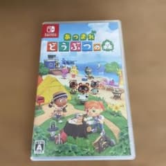 Switch 얽힌 돈부츠의 숲