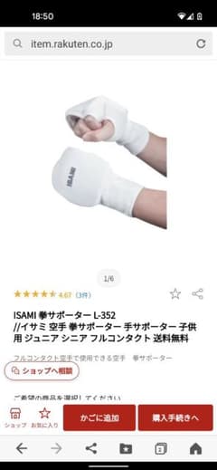 イサミ 空手 サポーター 手サポーターのサムネイル