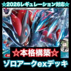 ☆本格構築☆Nのゾロアークexデッキ【構築済みデッキ】 - メルカリ