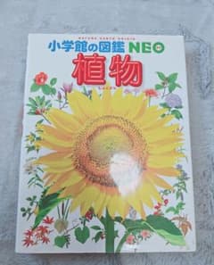 小学校の図鑑 NEO 3冊セット(植物、大むかしの生物、地球)のサムネイル