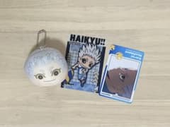 ハイキュー!! 星海光来のサムネイル