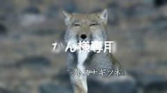 かん様専用のサムネイル