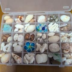 ハンドメイド材料☆沖縄貝殻☆サンゴ☆シーグラス☆クラフトセットのサムネイル