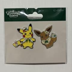 ポケパーク カントー ピンズセット ピカチュウ イーブイ - メルカリ