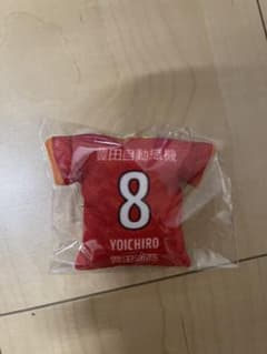 名古屋グランパス 柿谷 曜一朗 最安値のサムネイル