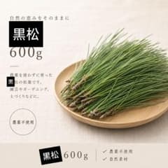 黒松 松葉 600g 農薬不使用 自然素材 即日発送！即購入可能！　枝付きのサムネイル