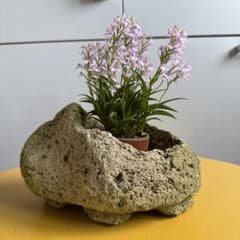 マ*ラ様 溶岩石 プランター 自然形状のサムネイル