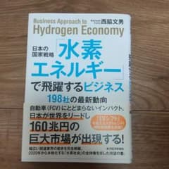 日本の国家戦略「水素エネルギー」で飛躍するビジネス 198社の最新動向のサムネイル
